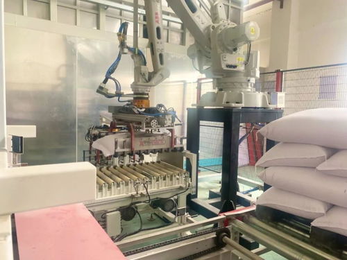 泖港糧庫完成設(shè)備改造提升工程，實(shí)現(xiàn)全流程自動(dòng)化